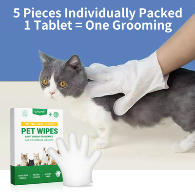 宠物SPA湿巾跨境版中性PH值护手清洁宠物猫猫狗狗等脏东西加厚设计spa湿巾 可生物降解湿巾