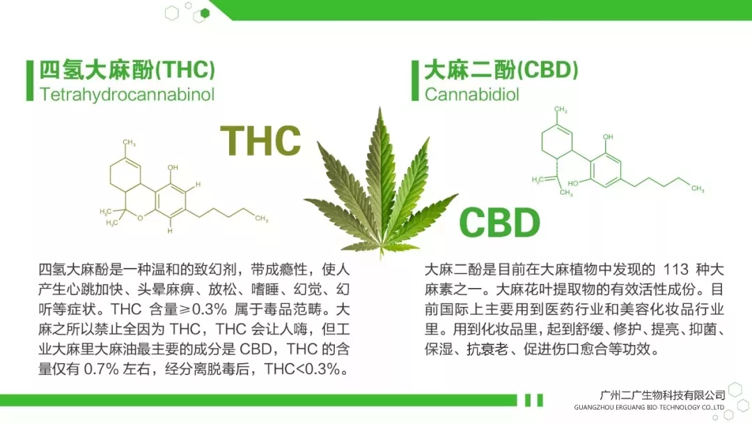 工业大麻 火了 雅诗兰黛和丝芙兰已下手